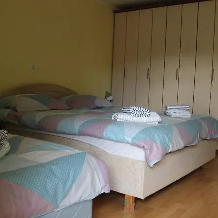 Apartma Ursic דירה